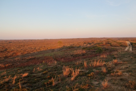 Sunset over the moors, from Altar Rock