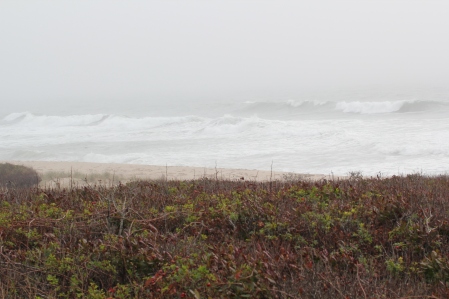 Foggy morning at Cisco Beach